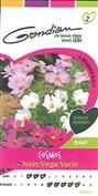 COSMOS NAIN VEGA
